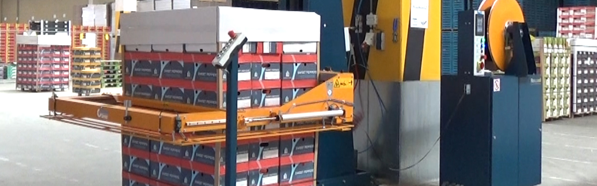 Verpackungsunternehmen Roosendaal Umreifungsmaschine Reisopack 2903 | Reisopack